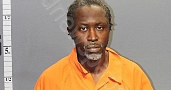 RICHARDSON, KHARI MAKONEN | 2020-11-22 05:03:00 Western Tidewater, Virginia Booking