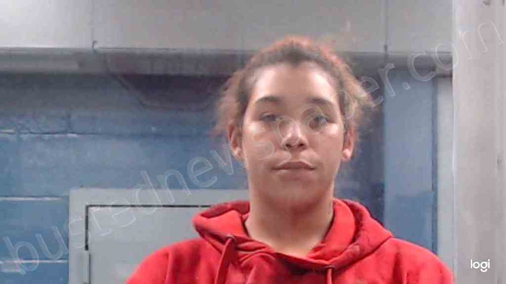 STEPHENSON, JALYNN LARAE #, Kanawha County, West Virginia - 2020-11-22 00:30:00