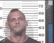 JOSHUA <B>WILSON</B> #, <b>Henry</b> County, Tennessee, Henry County, Tennessee - 2020-11-23 19:37:00