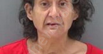 ELSA SALAS | 2020-11-23 10:07:00 Tom Green County, Texas Booking