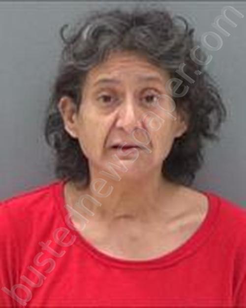 ELSA SALAS #, Tom Green County, Texas - 2020-11-23 10:07:00