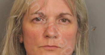 BRILL, DAWN ANNE | 2020-11-23 13:28:00 Jefferson County, Alabama Booking