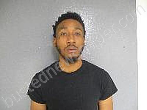 COOPER, KHAIRI MALIK-OLAJOW #, Van Buren County, Michigan - 2020-11-23