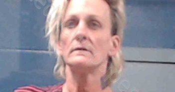 MILLER, IDA RENEE | 2020-11-23 04:02:00 Kanawha County, West Virginia Booking