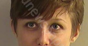 RICE, CHRISTINE ELIZABETH | 2020-11-23 19:11:00 Dickinson County, Kansas Booking