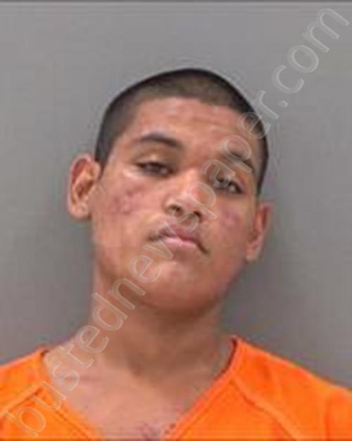 FRANKLYN GAITAN #, Tom Green County, Texas - 2020-11-23 01:19:00