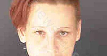 <B>SIMMONS</B>, <B>MICHELLE</B> LEANN #, Sarasota County, Florida - 2020-11-24