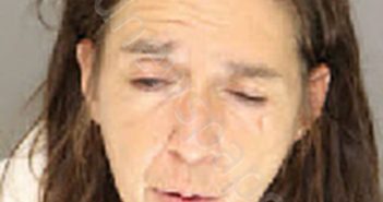 LEONHARDT, CHRISTINE FAYE | 2020-11-24 02:26:00 Moore County, North Carolina Booking