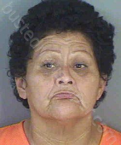 FRIAZVAZQUEZ,FREDONNA JEAN | 2020-11-25 Collier County, Florida Booking