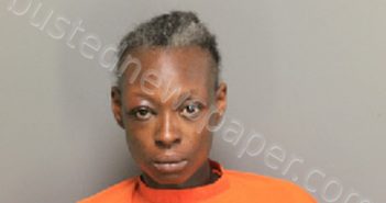 GIBSON, LATOYA MONTRIZE | 2020-11-25 03:25:00 Florence County, South Carolina Booking