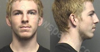 CHIPLASKI,LEVI ALLEN | 2020-11-25 12:10:00 Saline County, Kansas Booking