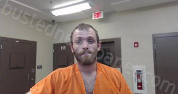 ERWIN, EDWARD | 2020-11-25 11:14:00 Cedar County, Missouri Booking