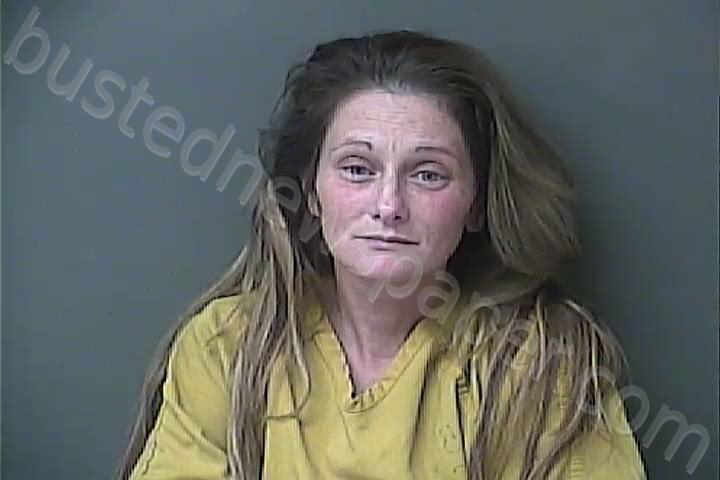 JONES, HEATHER MARIE #, Howard County, Indiana - 2020-11-26 00:49:00
