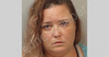 METCALF, HEATHER DELYNN | 2020-11-27 Leon County, Florida Booking