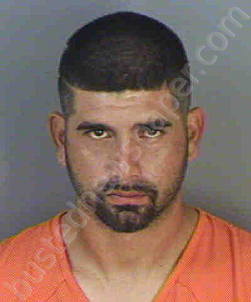 SILVA,RICARDO GARCIA #, Collier County, Florida - 2020-11-27