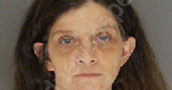 MCGHEE, MARY ELIZABETH | 2020-11-27 04:52:00 Moore County, North Carolina Booking