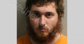 MOODY, TIMOTHY WAYNE JR | 2020-11-27 Leon County, Florida Booking