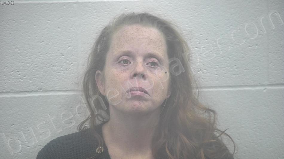STICKROD, CYNTHIA JEAN #, Kenton County, Kentucky - 2020-11-27 20:07:00