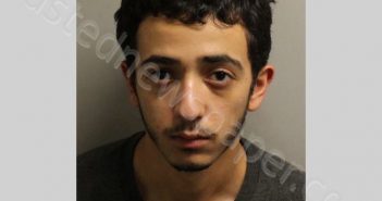 HAMMAD, MOHAMED S | 2020-11-27 Leon County, Florida Booking