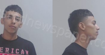 <B>PEREZ</B>, <B>PEDRO</B> <B>EDUARDO</B> #, Hidalgo County, Texas - 2020-11-27