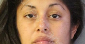 <B>GONZALEZ</B>, <B>MELISSA</B> <B>ISABEL</B> #, Polk County, Florida - 2020-11-28