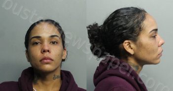 SAMA, JENNIFER MARIE | 2020-11-28 14:14:00 Miami-Dade County, Florida Booking