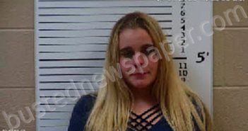LUTZ, JENNIFER NICOLE | 2020-11-28 14:06:00 Cherokee County, North Carolina Booking