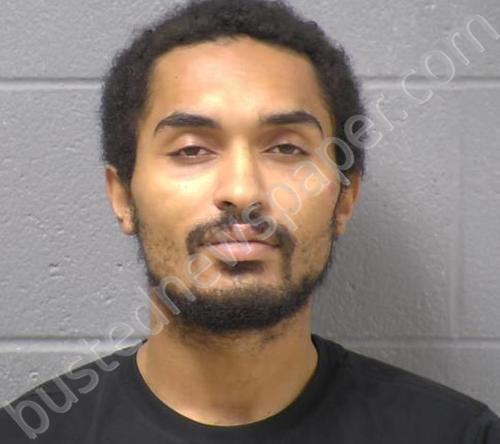 MOORE, MEDIKO K #, Will County, Illinois - 2020-11-28 19:20:00