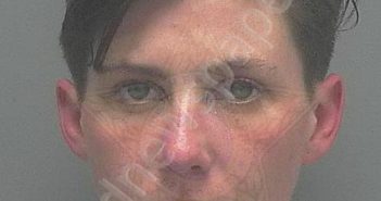 SCHAFER, STEPHANIE LYNN | 2020-11-28 10:17:00 Lee County, Florida Booking