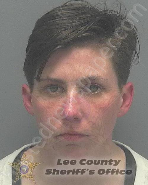 SCHAFER, STEPHANIE LYNN #, Lee County, Florida - 2020-11-28 10:17:00