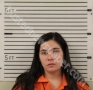 BLEVINS, HEIDI LYNN | 2020-11-28 20:33:00 Madison County, North Carolina Booking