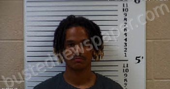 COLBERT, TYLER BLAKE | 2020-11-28 14:15:00 Cherokee County, North Carolina Booking