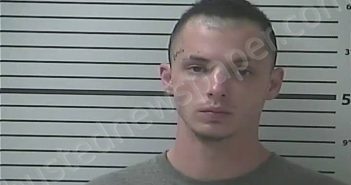 LADNER, DYLAN GREG | 2020-11-29 15:56:00 Hancock County, Mississippi Booking