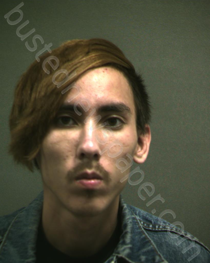 ROGERS, DAVID ALEXANDER #, Randall County, Texas - 2020-11-29