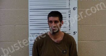 STRICKLAND, MICHAEL DWAYNE | 2020-11-30 17:55:00 Cherokee County, North Carolina Booking