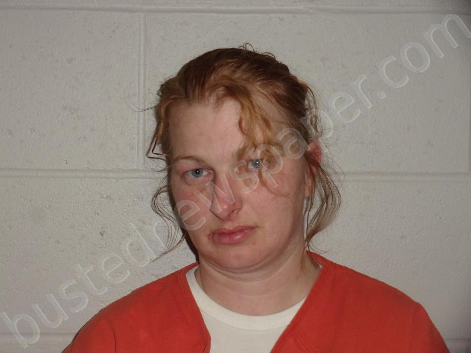 ANTLE, SARAH LOUISE #, Randolph County, Missouri - 2020-11-30 19:27:00