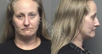 BAIER,JESSIE ROSE | 2020-11-30 14:58:00 Saline County, Kansas Booking