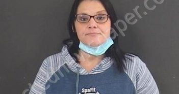 SMITH, SANDRA LYNN | 2020-11-30 22:13:00 Roanoke County, Virginia Booking