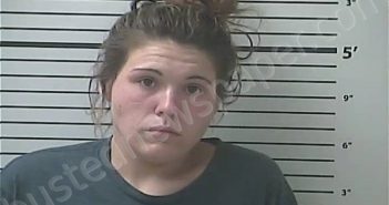 KAPP, KRISTENE KAY | 2020-11-30 16:39:00 Hancock County, Mississippi Booking
