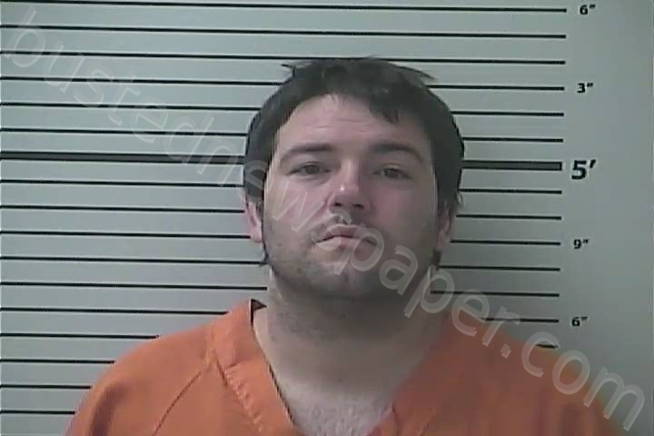 NELSON, ANDREW JOSEPH #, Hancock County, Mississippi - 2020-12-01 01:46:00