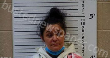 MANEY, MARLANA REGINA | 2020-12-01 12:46:00 Cherokee County, North Carolina Booking