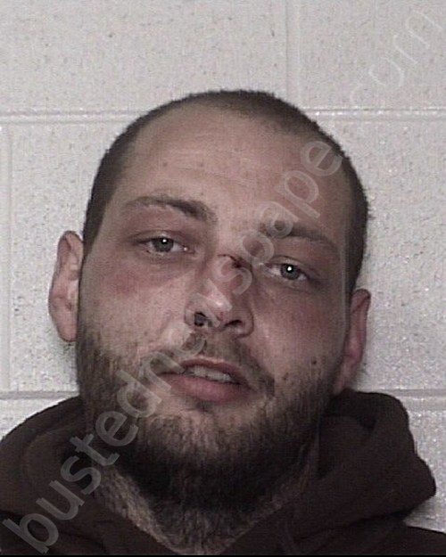 COLE, MICHAEL SHANE #, Rutherford County, Tennessee - 2020-12-01 16:15:00