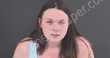 GABRIELSON, KALLEY GRACE | 2020-12-02 21:53:00 Roanoke County, Virginia Booking