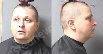 HILLENBURG, TONI MARCIA MARIE | 2020-12-03 13:02:00 Madison County, Indiana Booking