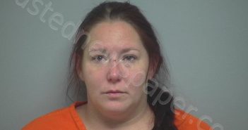 MYRA DARLENE STRICKLAND | 2020-12-03 23:24:29 Beaufort County, South Carolina Booking