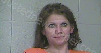 SALLEE, TINA MEREDITH | 2020-12-04 05:45:00 Woodford County, Kentucky Booking