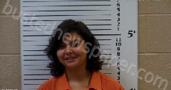 ARMITAGE, SELINA CHRISTINE | 2020-12-04 19:53:00 Cherokee County, North Carolina Booking