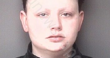 <B>ADAMS</B>, <B>MICHELLE</B> <B>VICTORIA</B> #, Dubuque County, Iowa - 2020-12-05 18:50:00