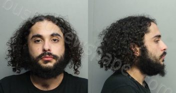 <B>ALVAREZ</B>, <B>JUSTIN</B> EMILIO #, Miami-Dade County, Florida - 2020-12-07 13:01:00