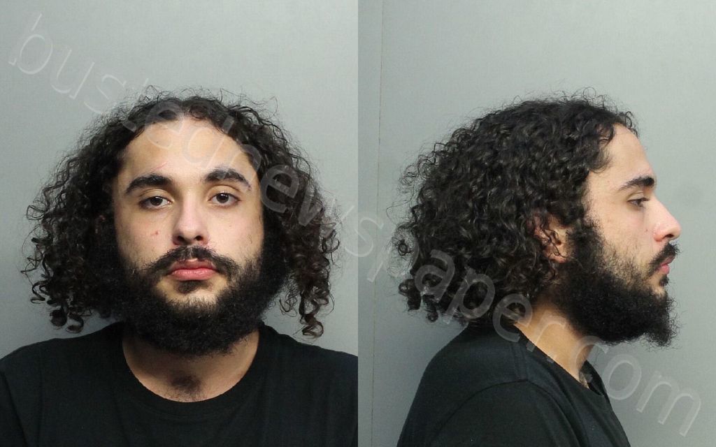 ALVAREZ, JUSTIN EMILIO #, Miami-Dade County, Florida - 2020-12-07 13:01:00
